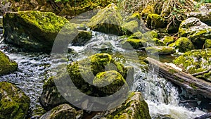 Stream or creek flowing between mossy rocks, water, autumn, Ireland