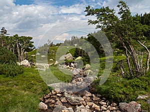 Stream of crystal clean water, Karkonosze National Park.