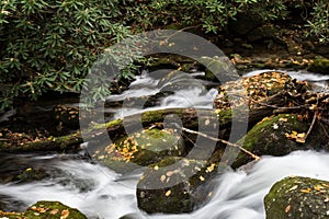 Stream with curved log deadfall, swift water, autumn leaves