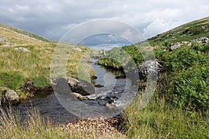 Stream in Dartmoor moors photo