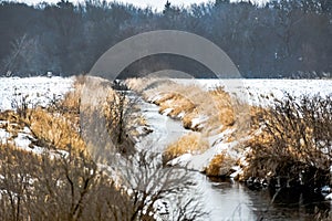 Stream Dividing two Farm Fields in Winter