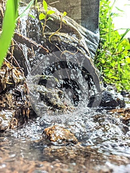 stream on the edge of rice fields