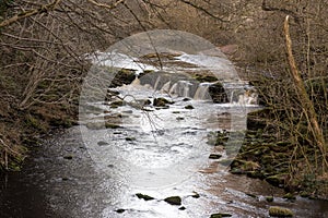 Stream in England