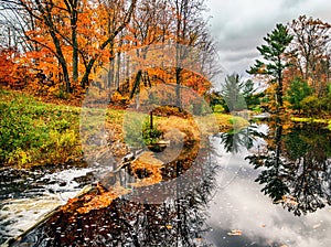 Stream in the Fall