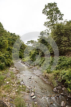 Stream Flowing in Chin State, Myanmar