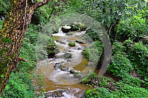 A Stream flowing through forest in Himalayan Mountains, Uttarakhand, India