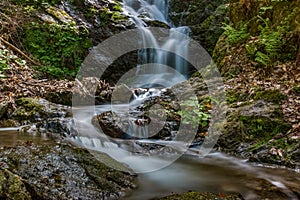 Stream flowing through the forest