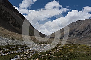 Stream flowing through Ladakh landscape, India, Asia