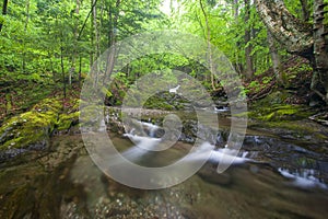 Stream flowing over rocks through lush forest with silky smooth water