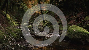 Stream flowing in rocky gorge, in autumn woodland