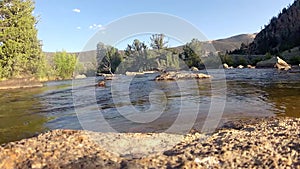 Stream flowing in summer