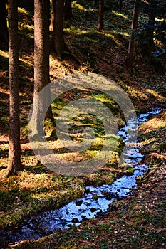 Stream flowing to valley Moravska Sazava