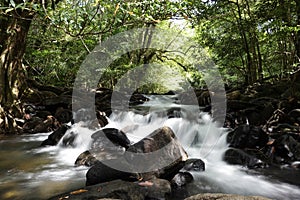 Stream flowing in tropical forest