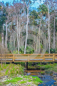 Stream flowing under walkway in Nocatee, St Johns County, Florida photo