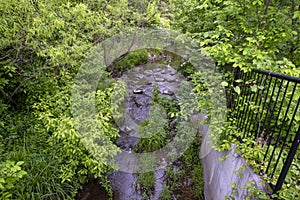 A stream flowing through woods