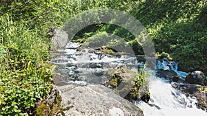 The stream flows down the hillside along a rocky bed.