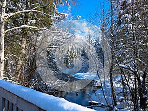 Tranquil winter landscape on the river in the forest