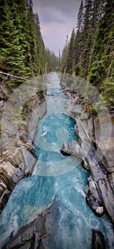 A Stream Flows Through the Mountain Forest photo
