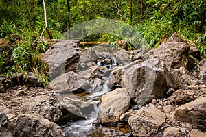 Stream flows over boulders in a lush tropical rainforest in Maui