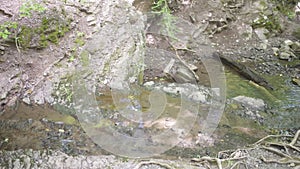 Stream flows over rock formation into reflecting pool.