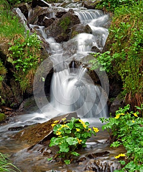 The stream flows on stones