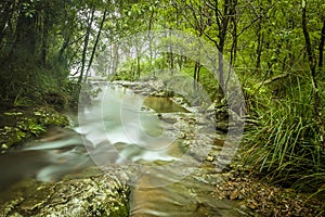 Goomoolahra Falls in Springbrook National Park, Queensland shot with a long exposure