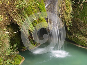 Stream in the forest