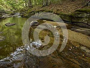 Stream In The Forest