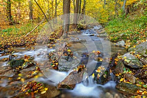 Stream in a forest at autumn