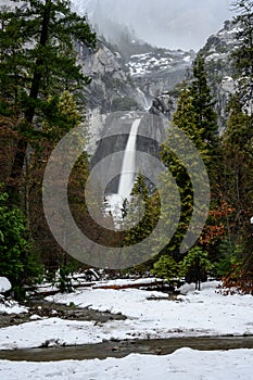Stream and Forest with Lower Yosemite Falls in Distance