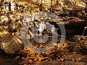 Stream formed from a waterfall captured in a forest in fall colors and yellow foliage under sunlight