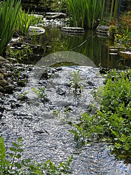 Stream in garden