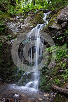Creek in green forest with waterfall