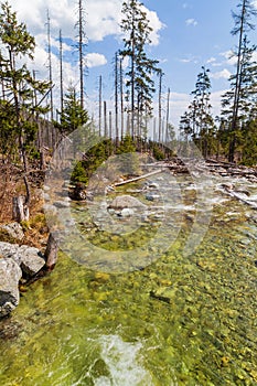 Stream in High Tatras mountains