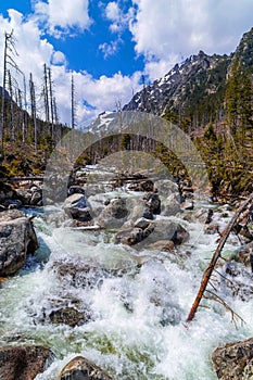 Stream in High Tatras mountains