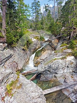 Stream in High Tatras mountains, Carpathia, Slovakia