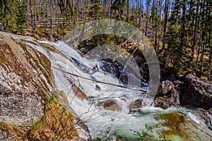 Stream in High Tatras mountains