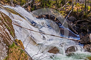 Stream in High Tatras mountains