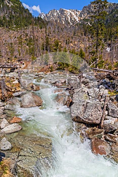 Stream in High Tatras mountains