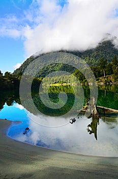 Stream in Hollyford, Fiordland National Park