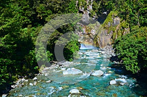 Stream in Hollyford, Fiordland National Park