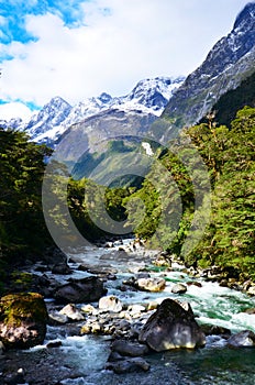 Stream in Hollyford, Fiordland National Park