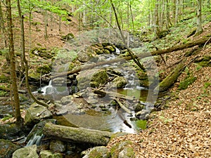 Stream HÃ¶llbachgspreng, wooded rock massif