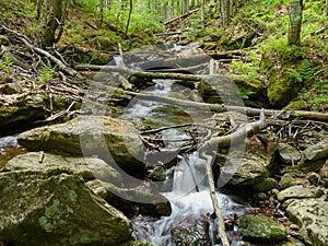 Stream HÃ¶llbachgspreng, wooded rock massif