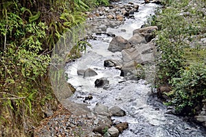Stream in the Intag Valley