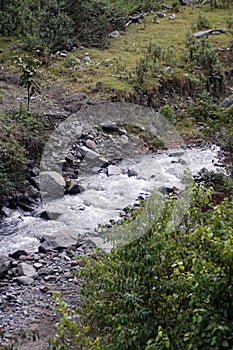 Stream in the Intag Valley