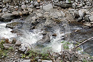 Stream in the Intag Valley