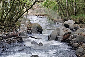 Stream in the Intag Valley