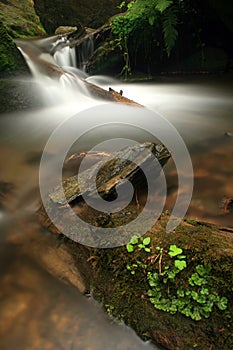 Stream in Jeseniky mountains