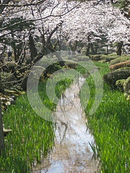 Stream, Kenrokuen gardens, Kanazawa, Japan